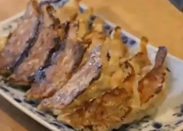 京都九条ネギ餃子