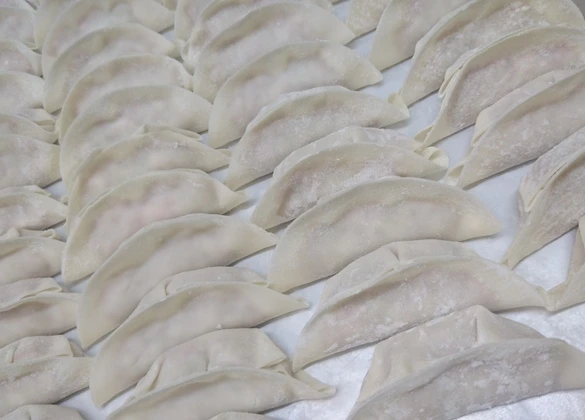 京都九条ネギ餃子