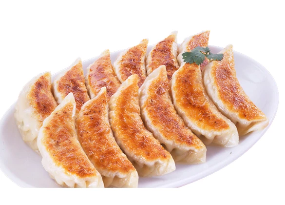 京都九条ネギ餃子
