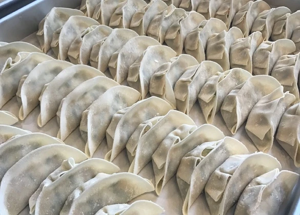 京都九条ネギ餃子